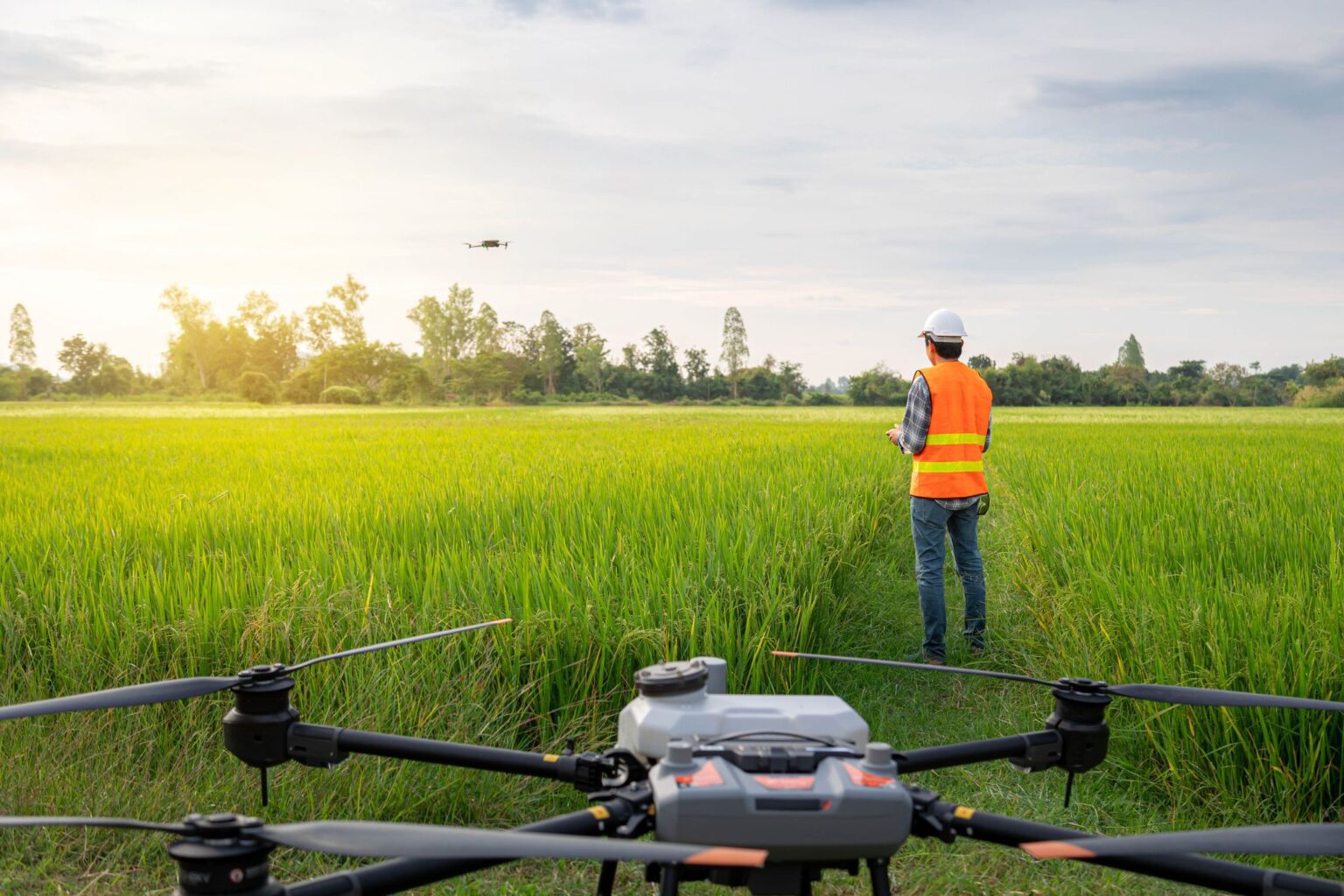 Field operator managing agricultural drone activity.
